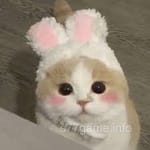 Avatar of Sultan Shah